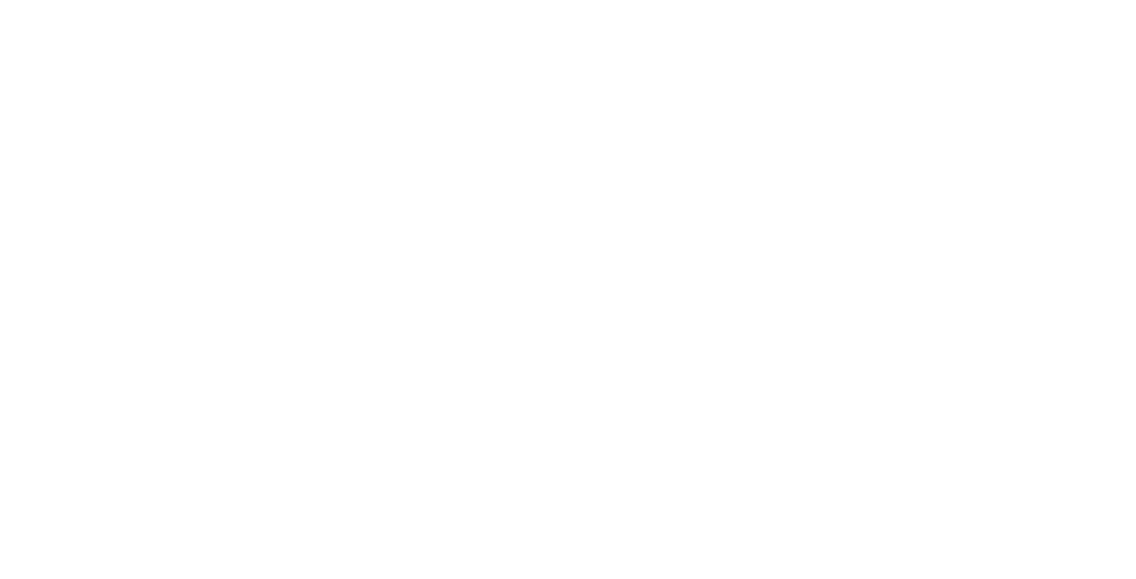 SOLON Logo weiß, Weiterleitung zur Seite/Shop